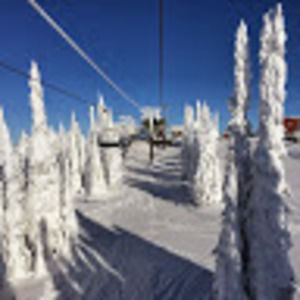 Meet your Posher, Gerald